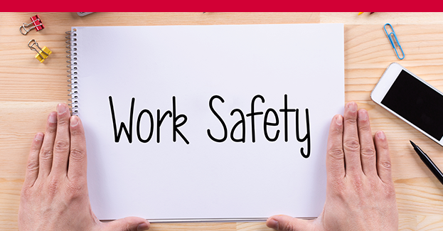Sicurezza Lavoratori – Rischio Basso (ed. febbraio)