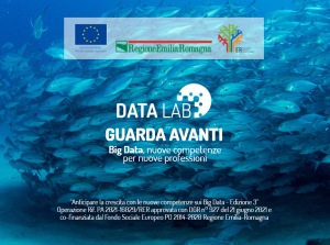 Data Lab 3