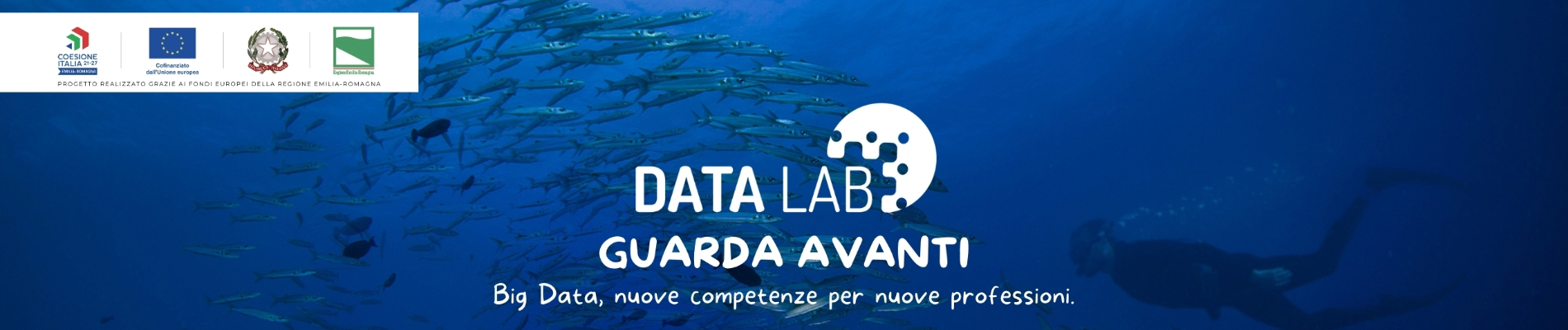 DataLab_Banner_Slider